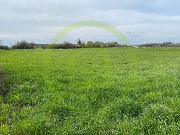 Terrain à VELLEMINFROY (70240)