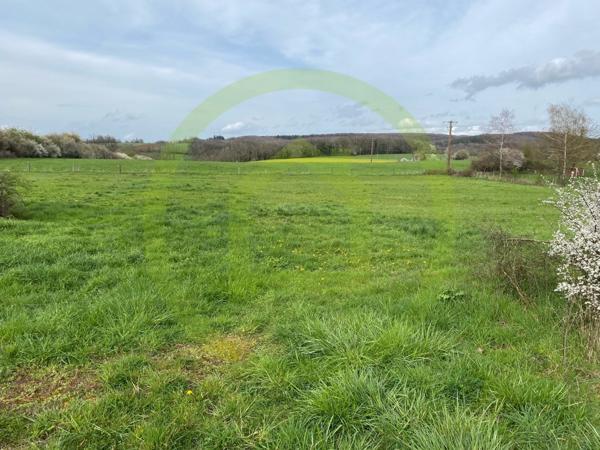 Terrain à VELLEMINFROY (70240)