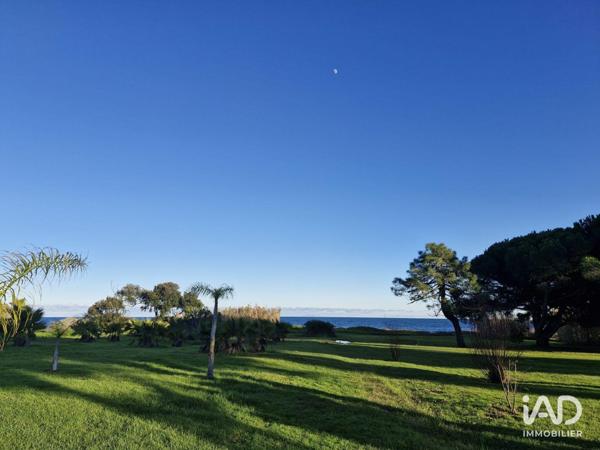 Appartement à vendre 2 pièces 35 m² Poggio-Mezzana