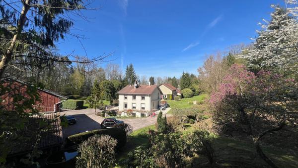 Exceptionnel, Epinal proche centre ville, propriété 1ha de terrain