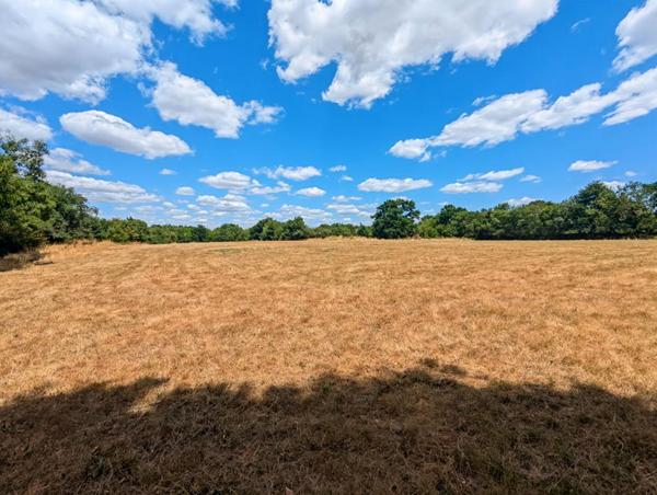 Maison  8 pièce(s) 253 m2