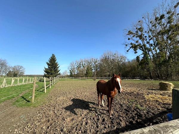 A VENDRE - Maison de 168 m² habitables à 2 km de CHAUMONT EN VEXIN - 5 chambres - 1He de terrain
