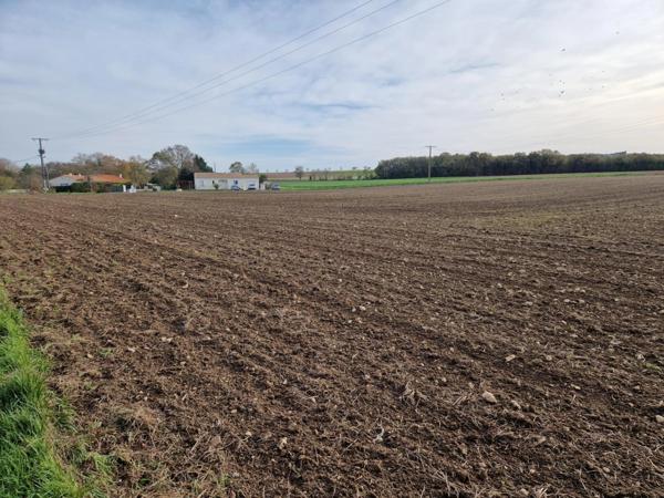 Terrain à vendre CHANTEMERLE SUR LA SOIE (17)