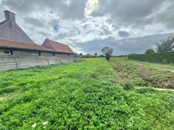 Achat - Terrain à bâtir | Terrain à bâtir Morbecque 59190 475 m 2 3000 m 2