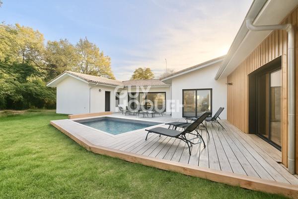 Volumes et coup de coeur à La Teste de Buch !