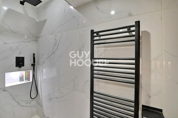 Appartement Lyon 1 pièce 39 m² (25,92 m² carrez) - meublé - Félix Faure, Lyon 3ème (69003)