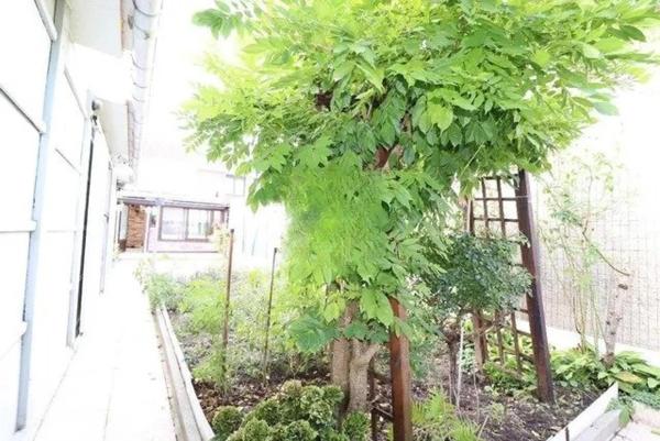 Jolie Maison de ville