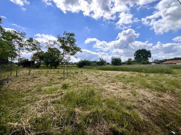 Vente / Terrain constructible