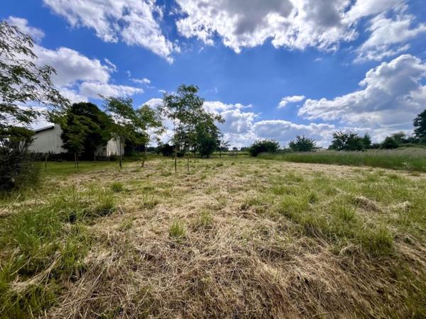 Vente / Terrain constructible