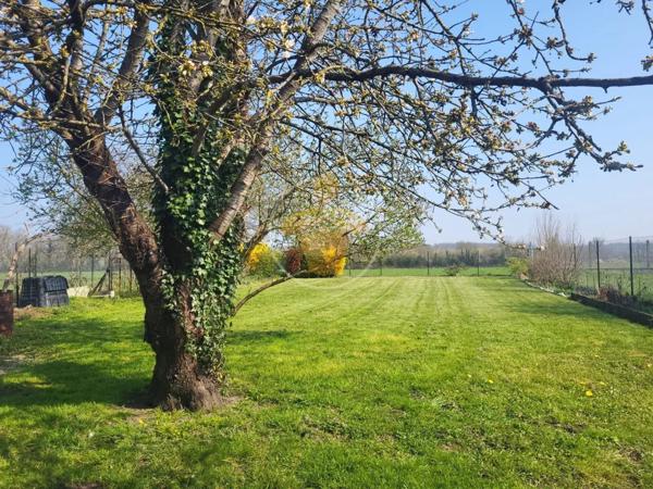 Vente Maison 5 pièces 73 m2 à Mennessis