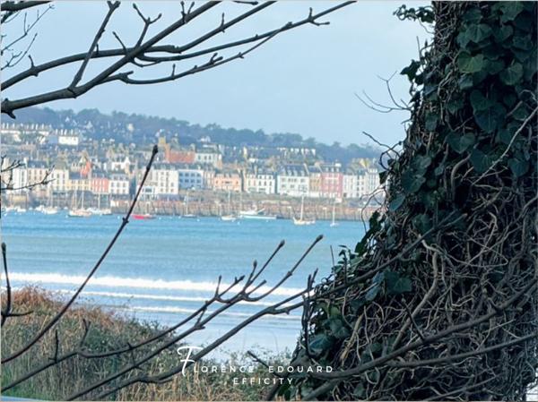 Appartement 4 pièces - 64 m² Exclusivité efficity