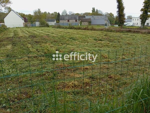 Terrain
        
        - 866 m²