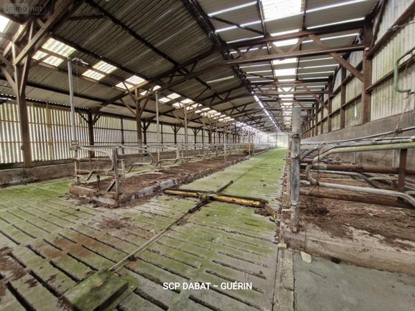 Propriete à vendre à Domfront-en-Poiraie dans l'Orne (61700), ref : 8351