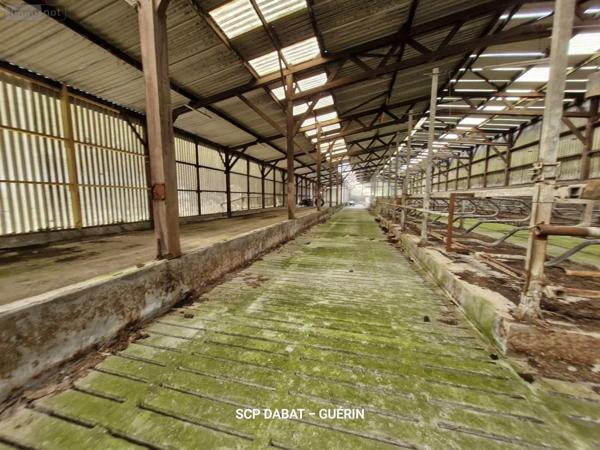 Propriete à vendre à Domfront-en-Poiraie dans l'Orne (61700), ref : 8351