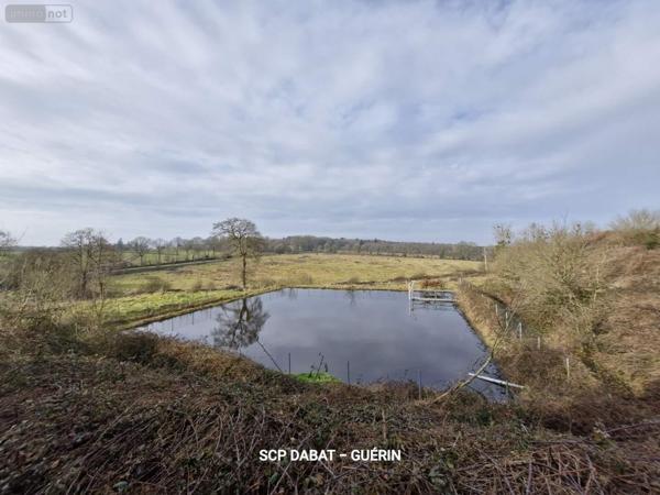 Propriete à vendre à Domfront-en-Poiraie dans l'Orne (61700), ref : 8351