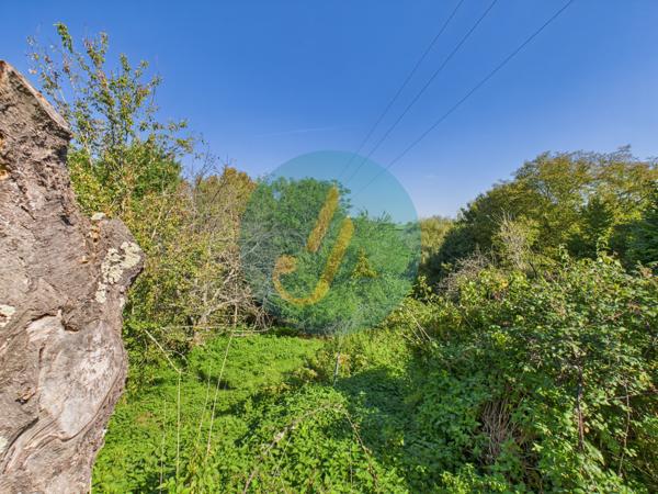 Prémery (58700) Longère avec 1 chambre sur beau terrain proche rivière