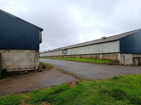 poulaillers industriels