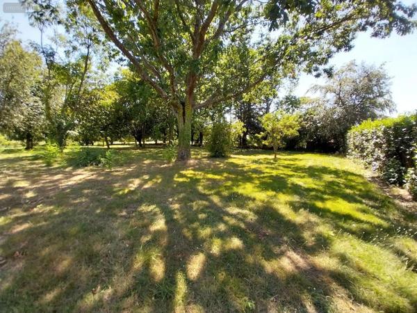 Achat - Terrain à bâtir | Terrain à bâtir Louvigné-de-Bais 35680 2245 m 2