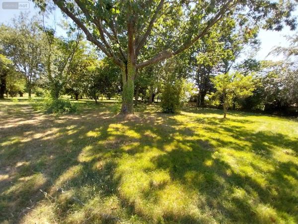 Achat - Terrain à bâtir | Terrain à bâtir Louvigné-de-Bais 35680 2245 m 2