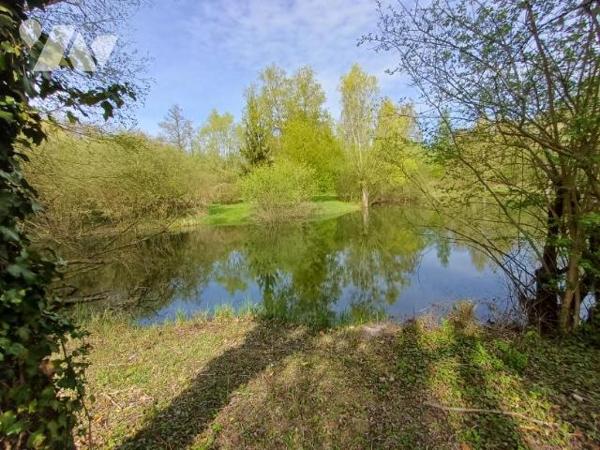 AMIENS, proche Parc Grand Marais : PARCELLE de 3 ha avec ETANGS ET TERRAIN DE LOISIRS