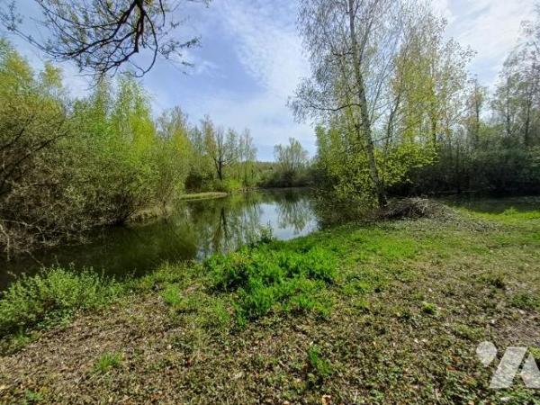 AMIENS, proche Parc Grand Marais : PARCELLE de 3 ha avec ETANGS ET TERRAIN DE LOISIRS