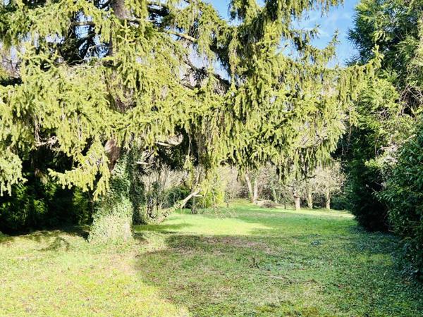 Terrain constructible de 1324m2 - Claye Souilly