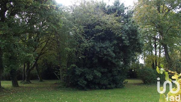 Maison à vendre 3 pièces 161 m² Anché