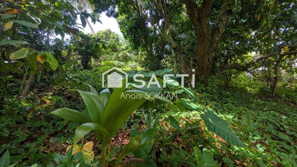 Grand terrain à bâtir relativement plat