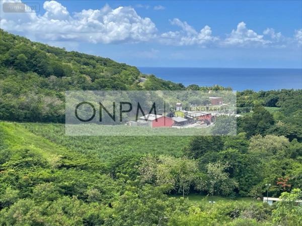 Appartement à vendre à Le Carbet en Martinique (97221), ref : 97207-885