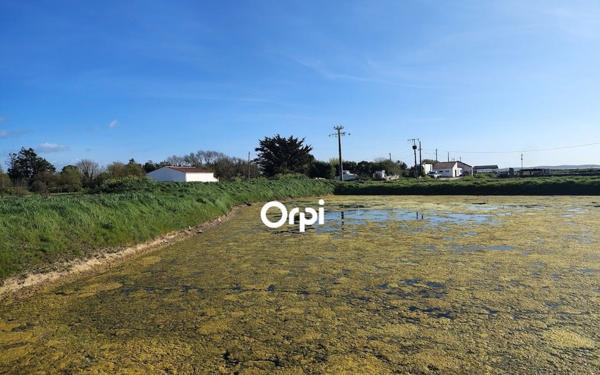 Maison à vendre    1 pièce •  Bourcefranc-le-Chapus