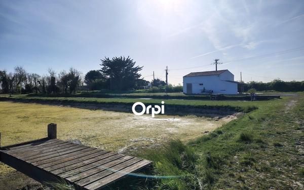 Maison à vendre    1 pièce •  Bourcefranc-le-Chapus