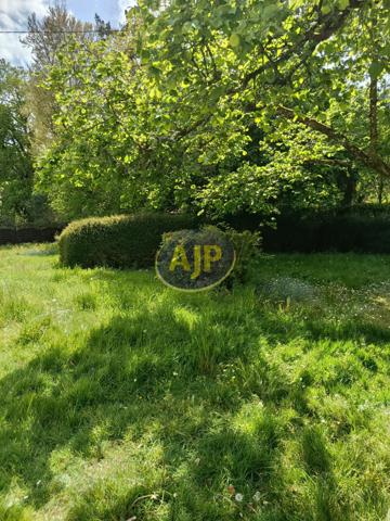 Location maison Guemene Penfao : 520 € - AJP By Marie