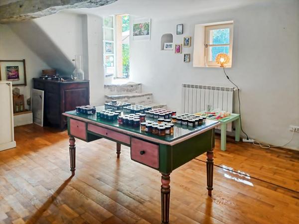 Mas du XVIIIème Siècle de 300 m² sur domaine de 15 000 m²