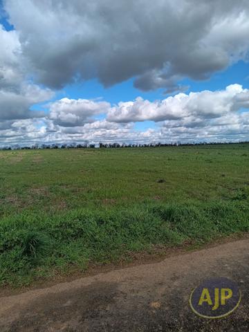 Vente terrain Saint Aubin La Plaine : 39 990 € - AJP Immobilier Luçon