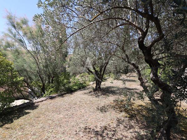 VILLA LUMINEUSE TYPE 5 AU CALME SUR 3612 M2 AVEC OLIVIERS PIERREVERT