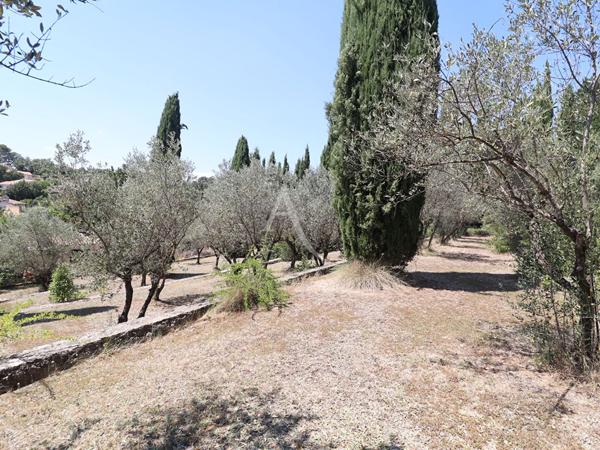 VILLA LUMINEUSE TYPE 5 AU CALME SUR 3612 M2 AVEC OLIVIERS PIERREVERT
