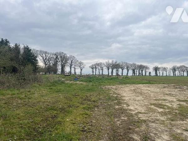 Terrain à vendre Taupont