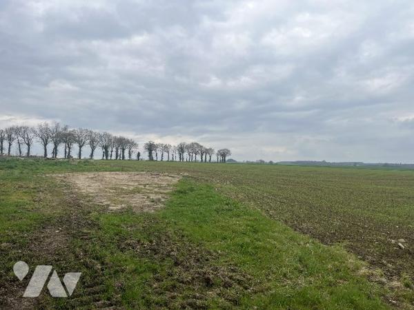 Terrain à vendre Taupont