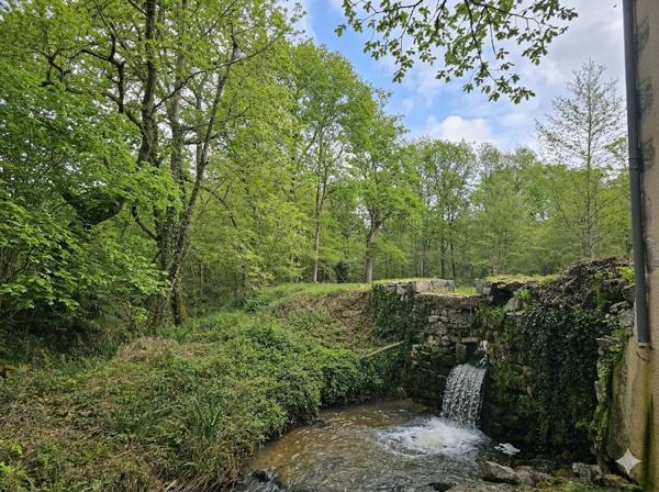 Moulin