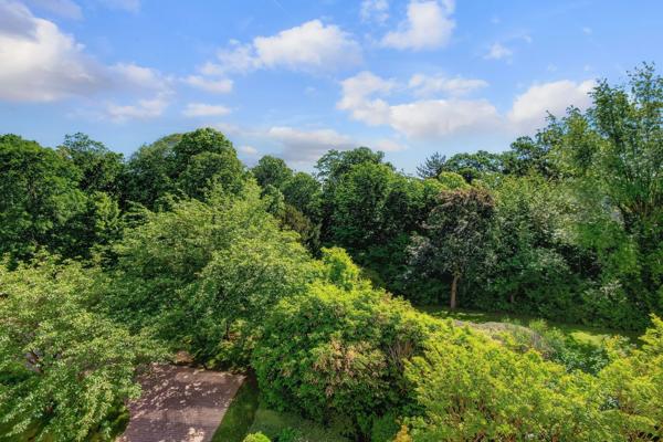 Appartement Saint-Cloud - Saint-Cloud