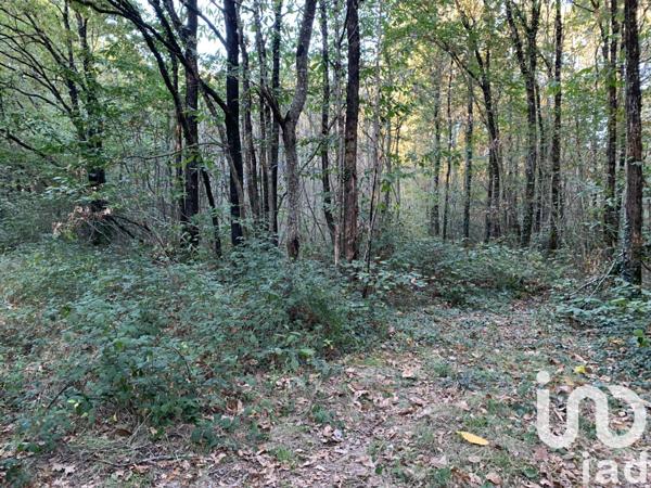 Terrain à vendre 7 280 m² Les Lucs-sur-Boulogne