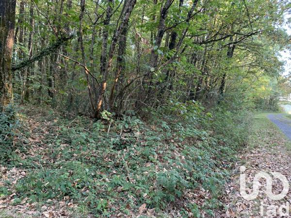 Terrain à vendre 7 280 m² Les Lucs-sur-Boulogne