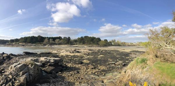 Vente Terrain 475 m2 à Trégunc