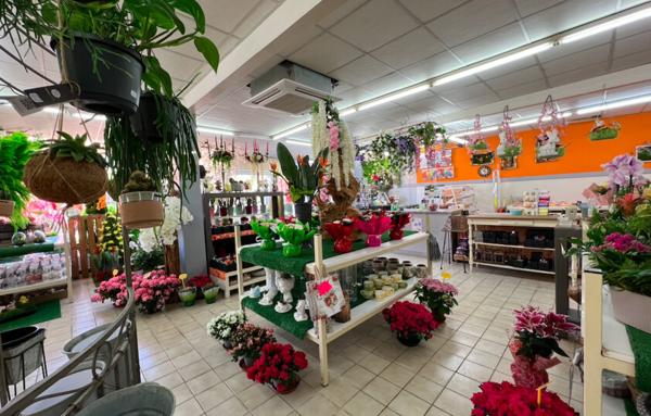 Fonds de commerce Fleuriste Vierzon centre-ville