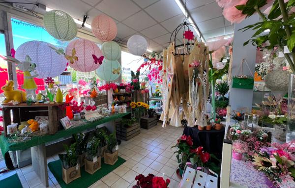 Fonds de commerce Fleuriste Vierzon centre-ville