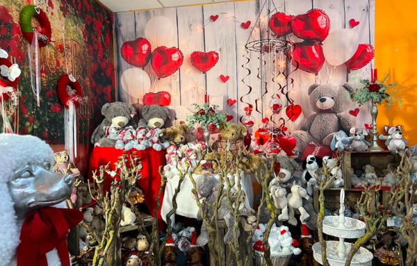 Fonds de commerce Fleuriste Vierzon centre-ville