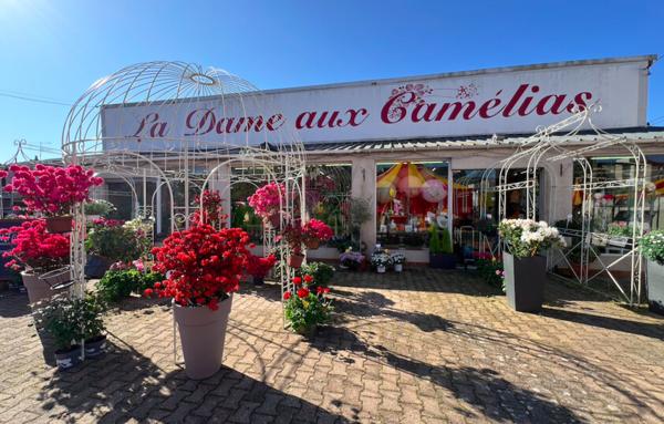 Fonds de commerce Fleuriste Vierzon centre-ville