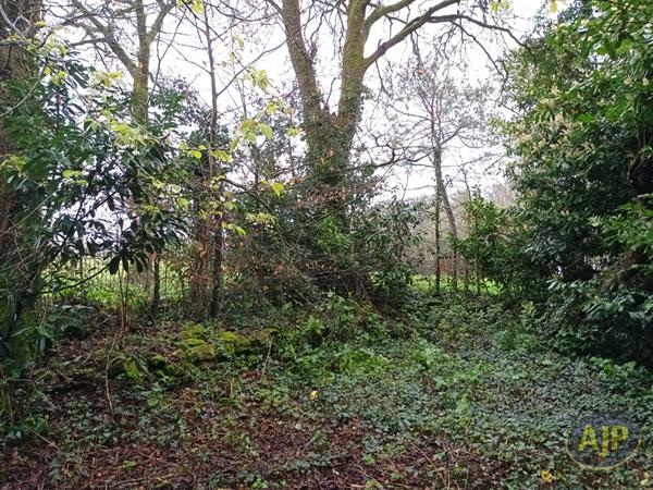 Vente maison Questembert : 168 900 € - AJP Immobilier Questembert