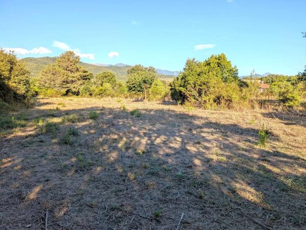 Terrain constructible 2740m² à Prunelli