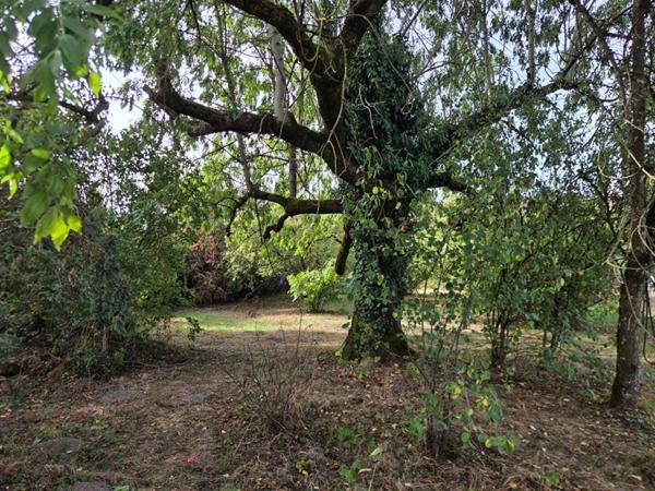 Ferme sur plus de 1600m² de terrain plat
